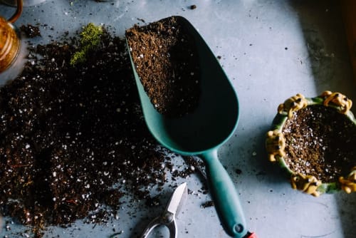 Trowel with soil