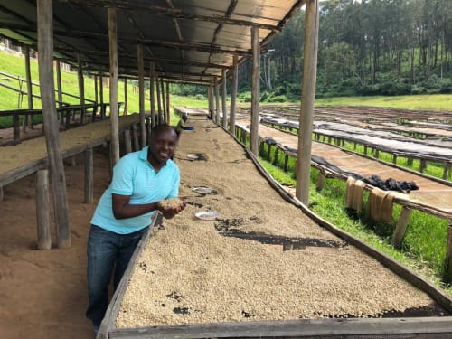 Sam from Bufcoffee holding dried beans