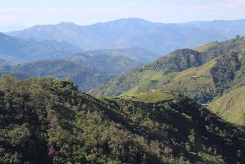 Coffee farms in Peru