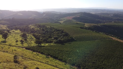 A view of Fazenda Zaroca