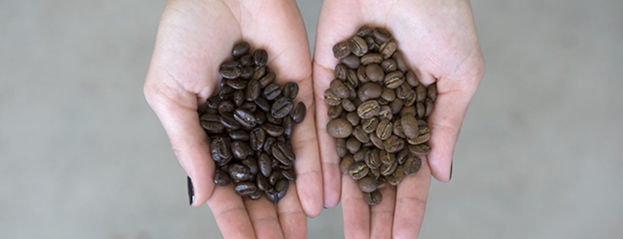 The difference between a supermarket dark roast (left) and Pact's dark roast (right).