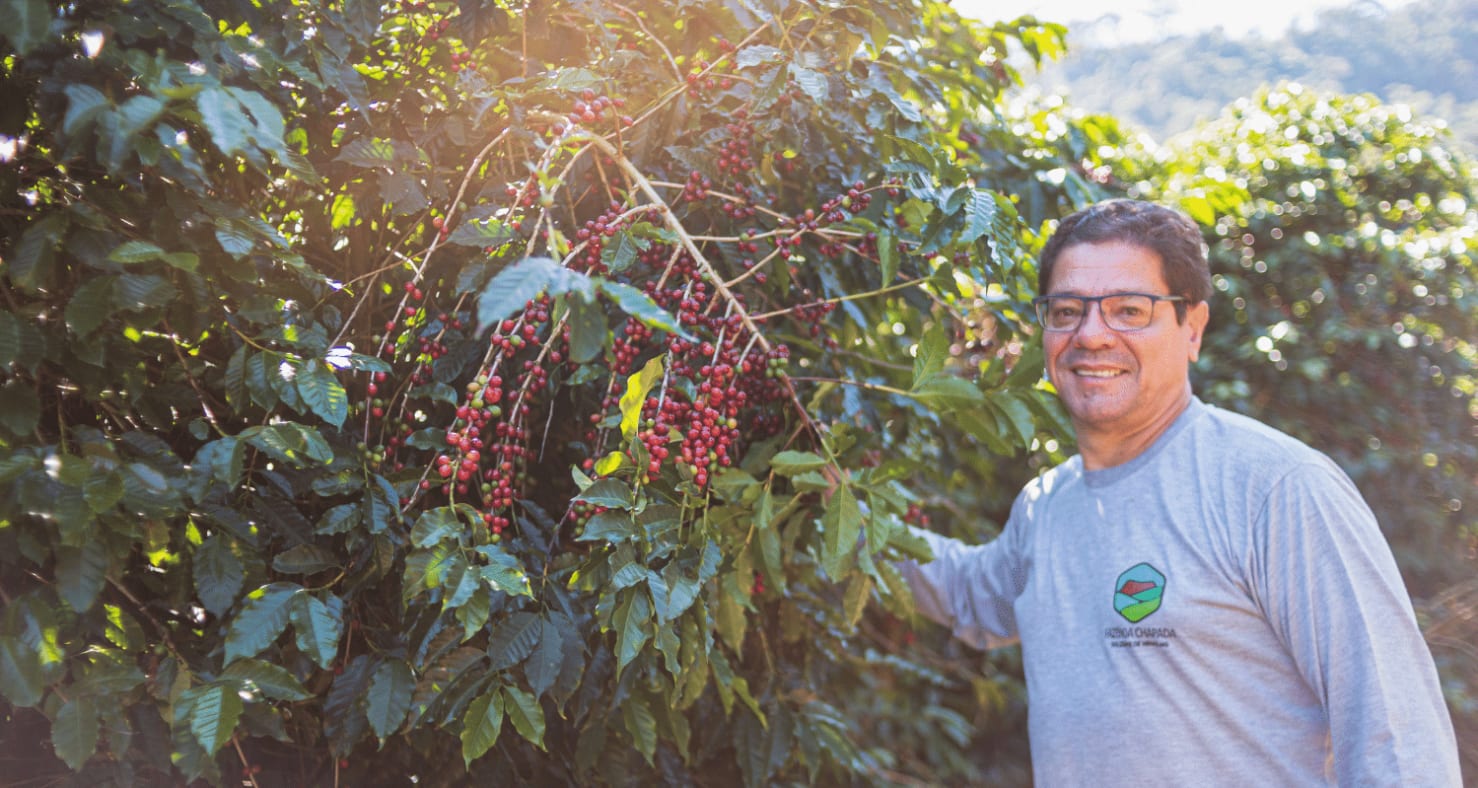 Marcus Carvalho, one of Brazil's most skilled speciality-coffee growers