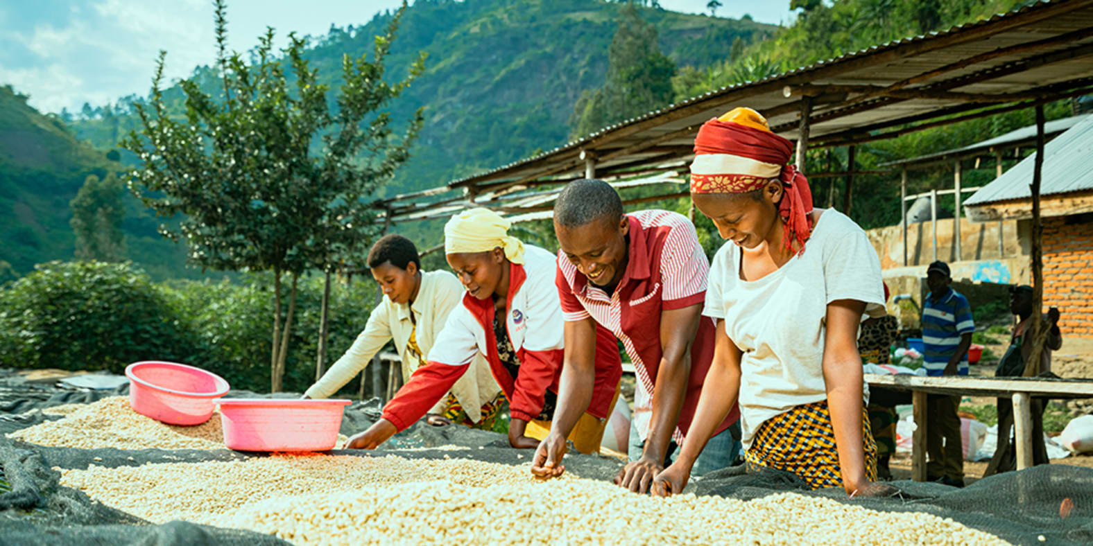 Members of the Muungano cooperative in The DRC