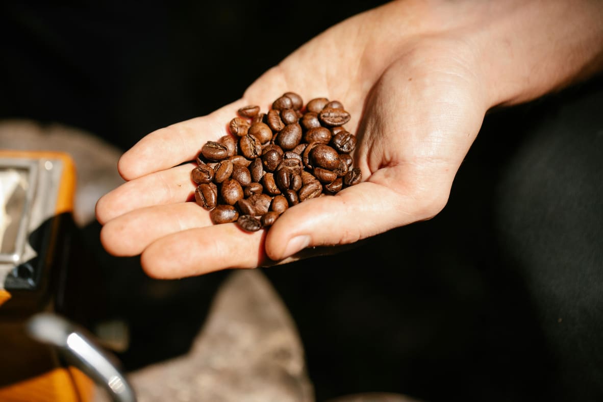 Pre-ground convenience or the whole bean experience, choose what works for you!