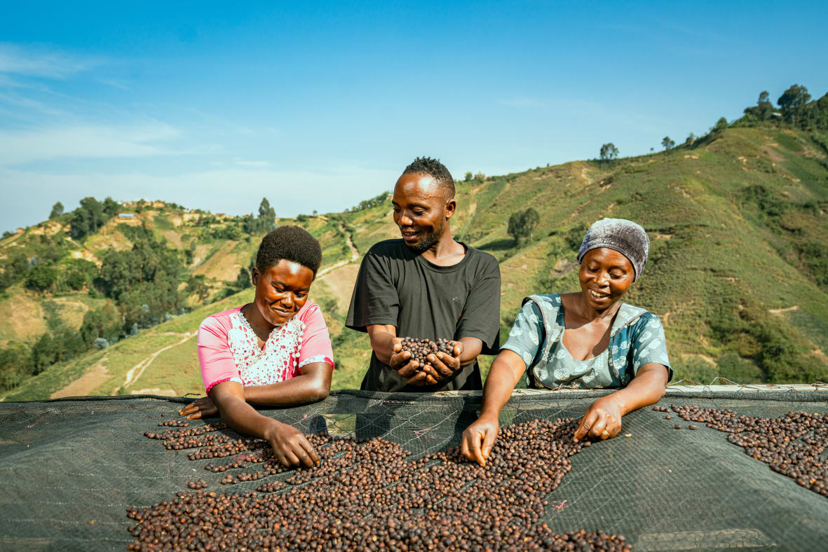 Speciality coffee farmers on the Chebumba Washing Station in The DRC