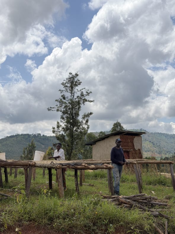 Kigembe Washing Station, 1819 MASL