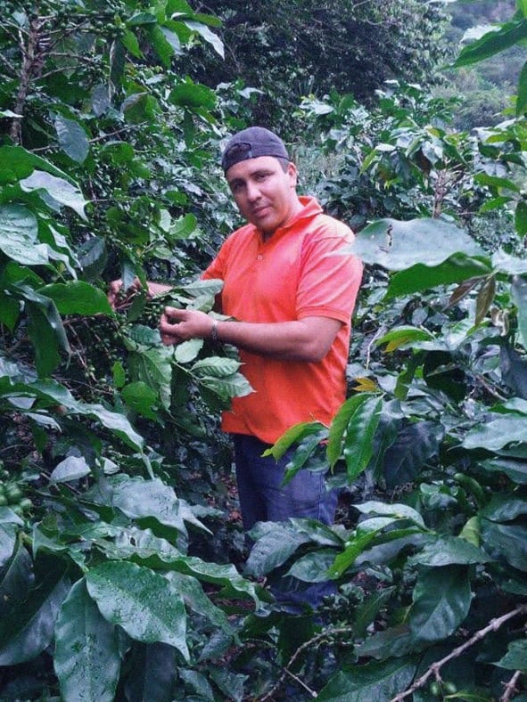 Abel Mejia on the Tepanguare farm, 1700 MASL