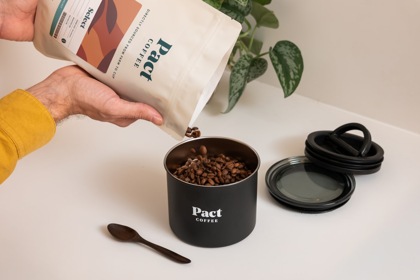 What are the best coffee beans in 2026?