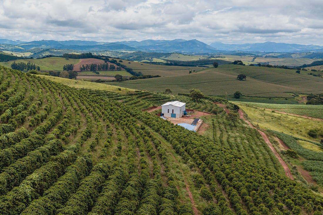 Colombian Coffee