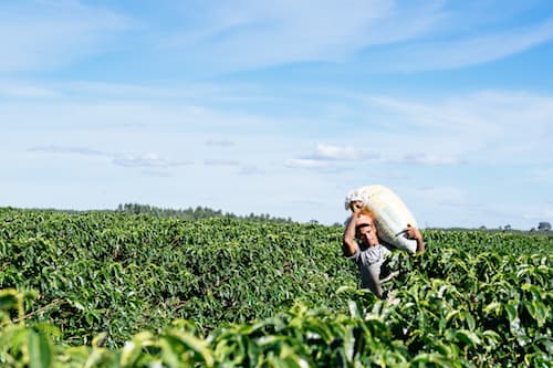 Fire & Frost: how climate change is hitting Brazil hard