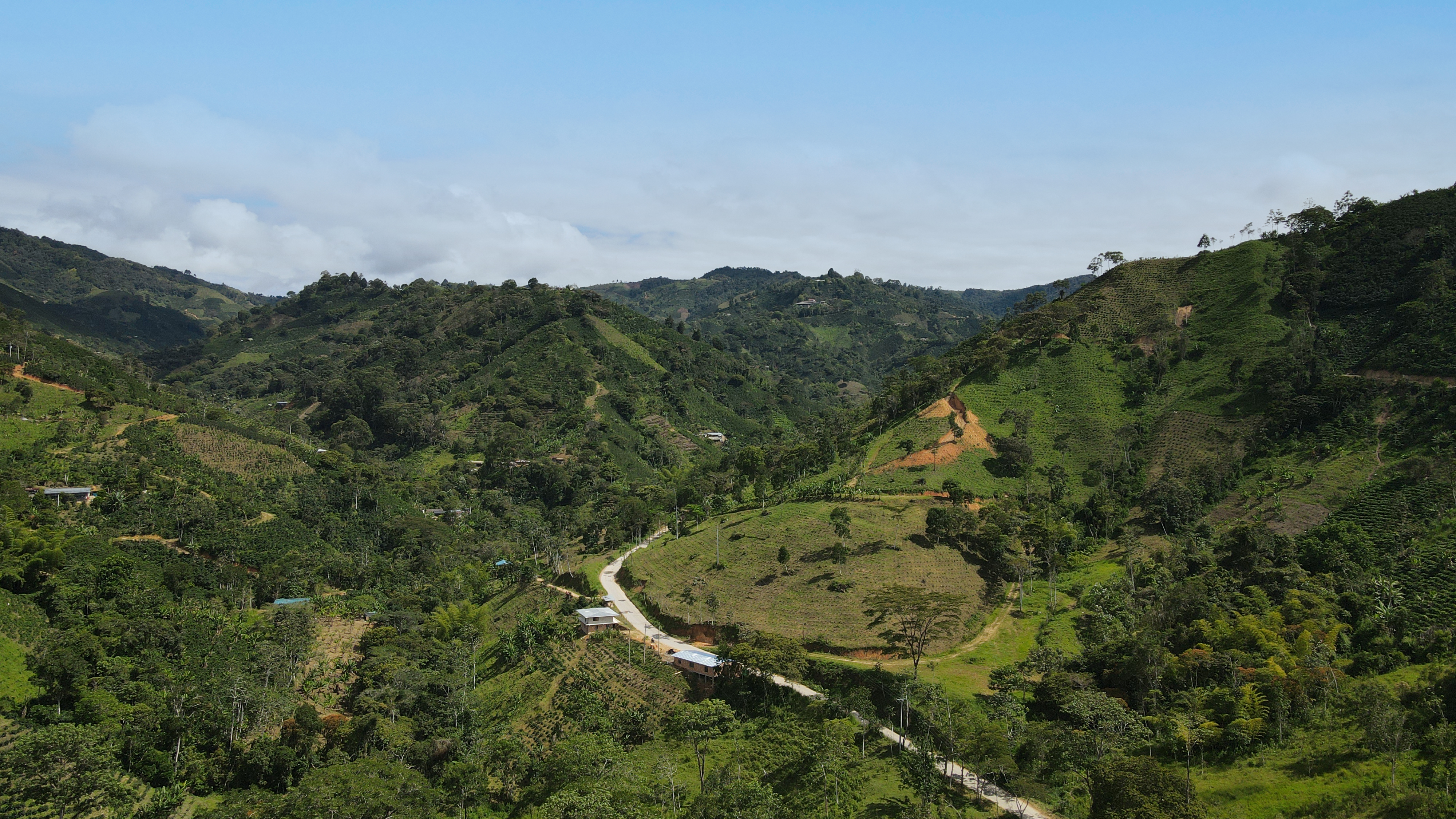 Which Country Produces the Most Coffee?