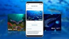 PADI certification cards featuring underwater scenes