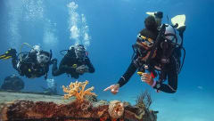 Divemaster course image
