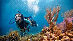 Open Water Diver course image