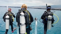 Open Water Instructor course image