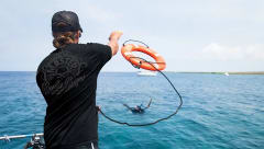 Rescue Diver course image