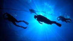 Specialty Instructor course image