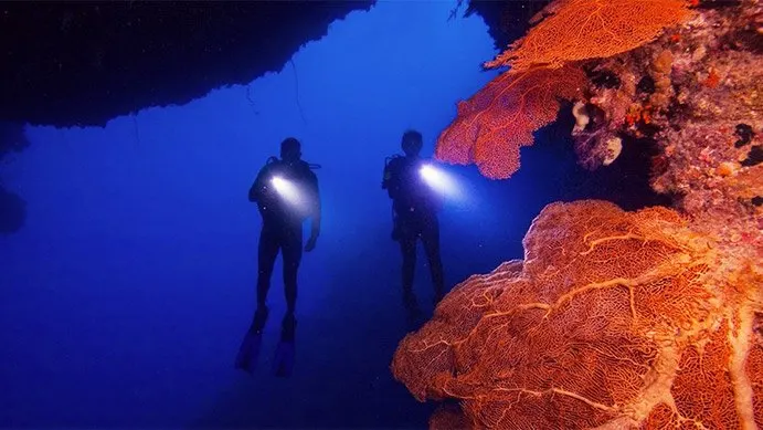Divers diving with dive lights