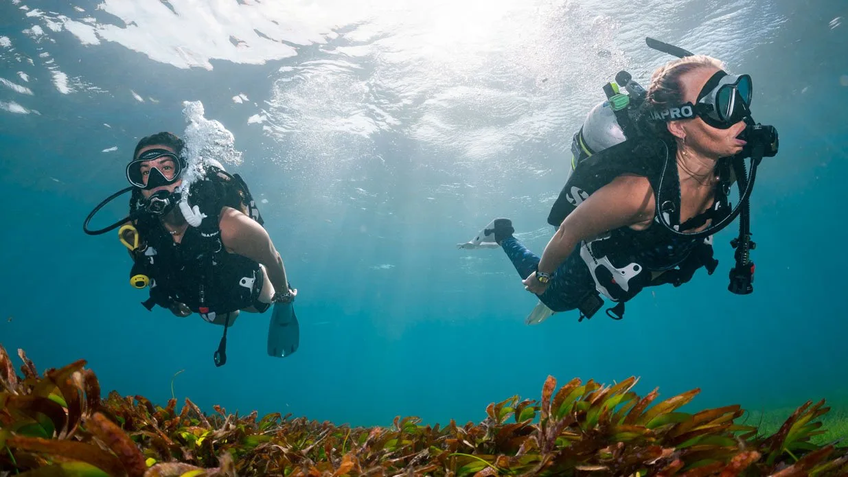 Two divers at mid water