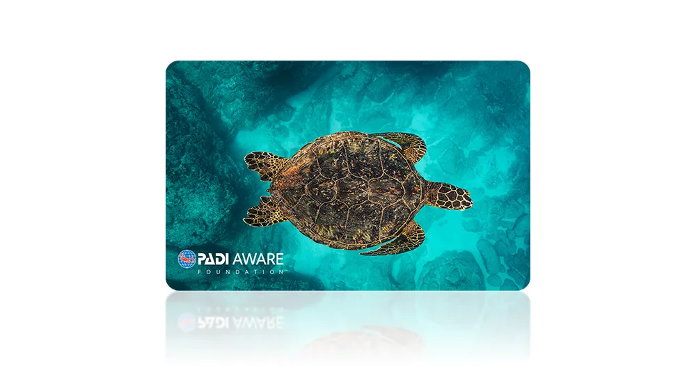 Carta Fisica PADI AWARE Sea Turtle Legend con Donazione – Stan Moniz