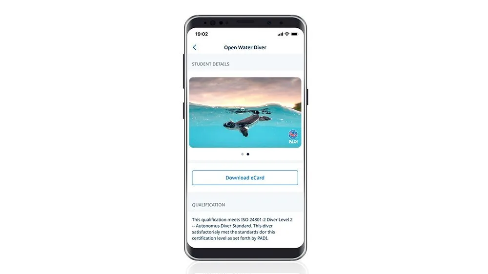 Sea Turtle Sunset eCard by Aleksandr Jeldosev