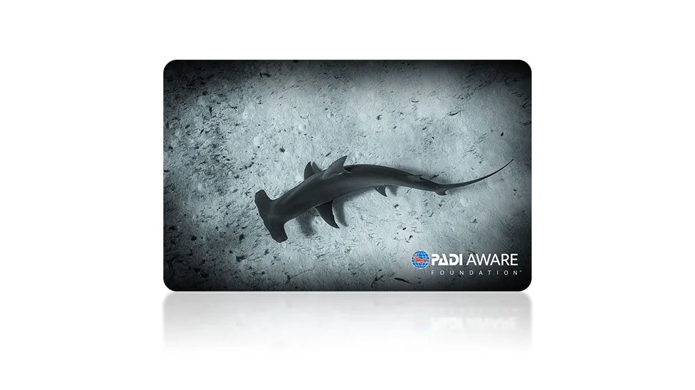Carta Fisica AWARE Great Hammerhead con Donazione