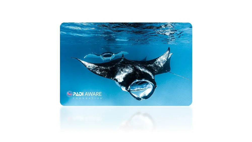 Carta Fisica AWARE Mantas in Motion con Donazione – Rayna O’Nan