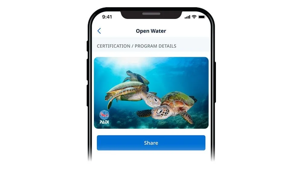 Turtle Kiss by Gabriel Guzman eCard (Limited Edition)