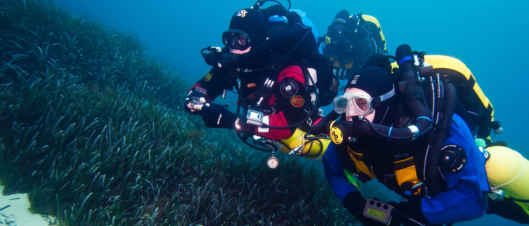 アドバンスド・リブリーザー・ダイバー(Advanced Rebreather Diver)