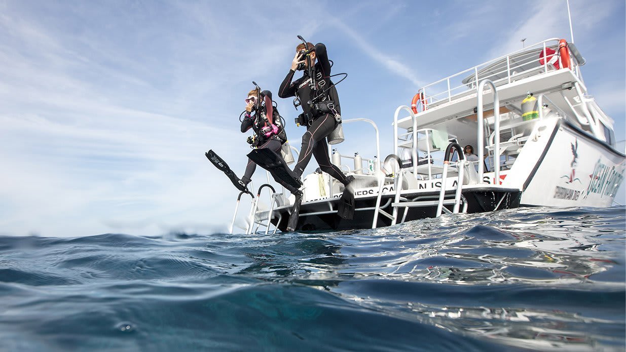 ReActivate Programa de Actualización de Buceo