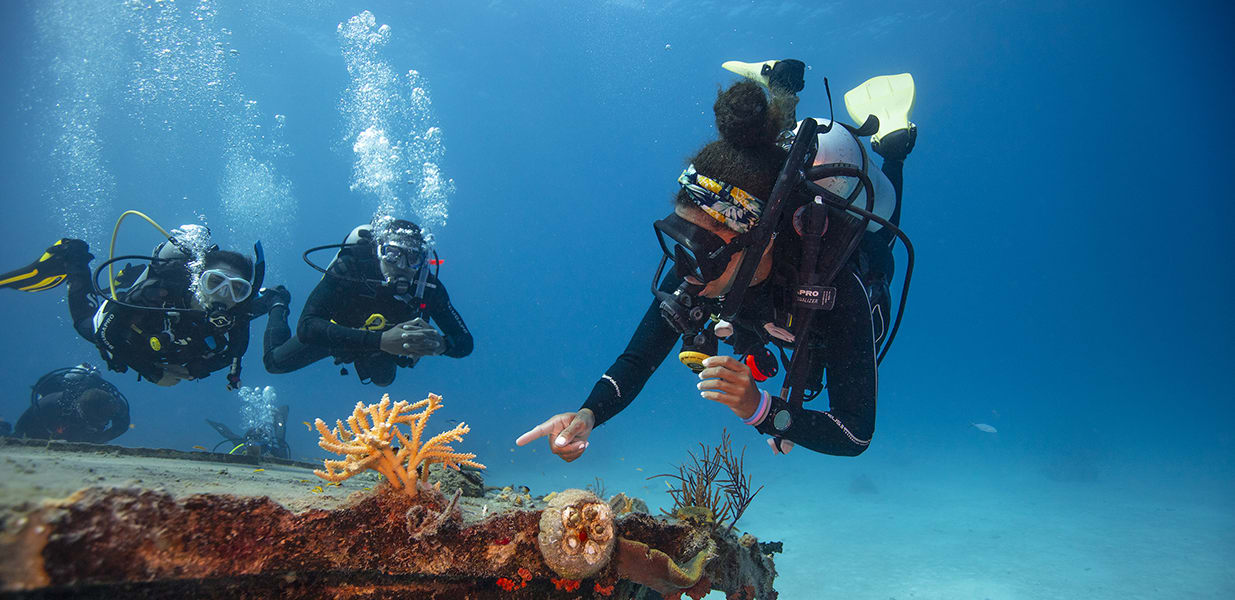 ダイブマスター(Divemaster)