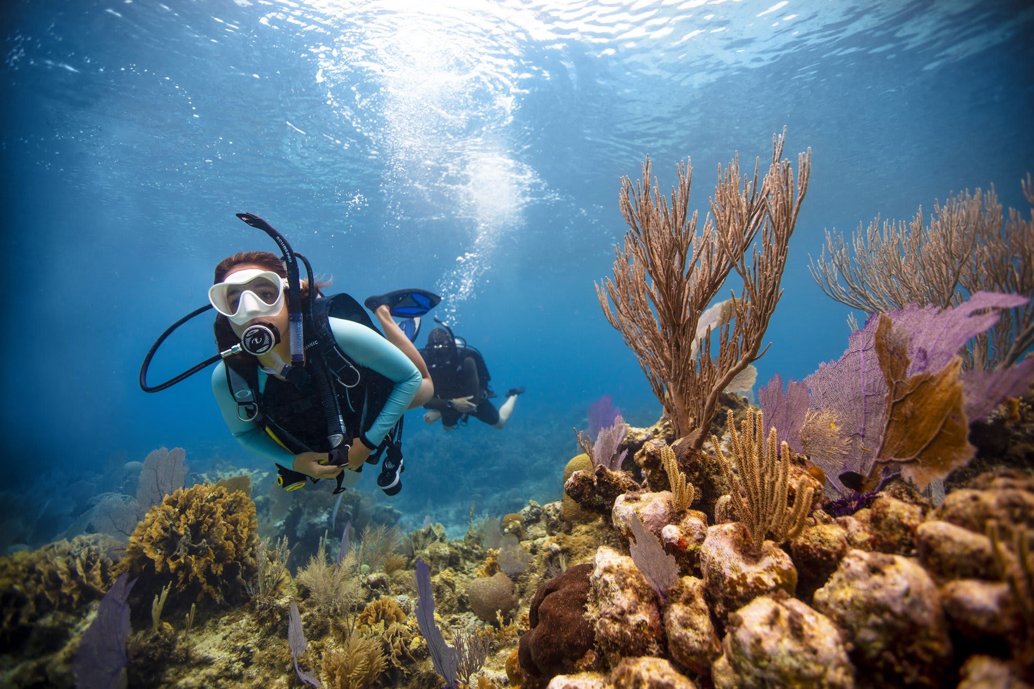 オープン･ウォーター･ダイバー(Open Water Diver)