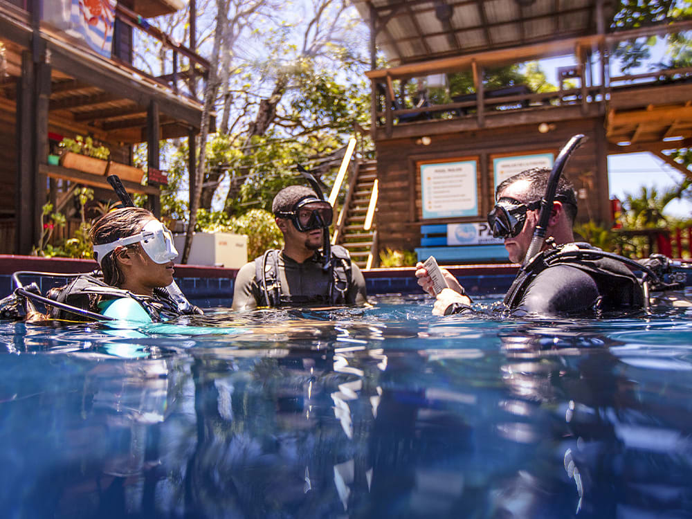 Divers in a pool