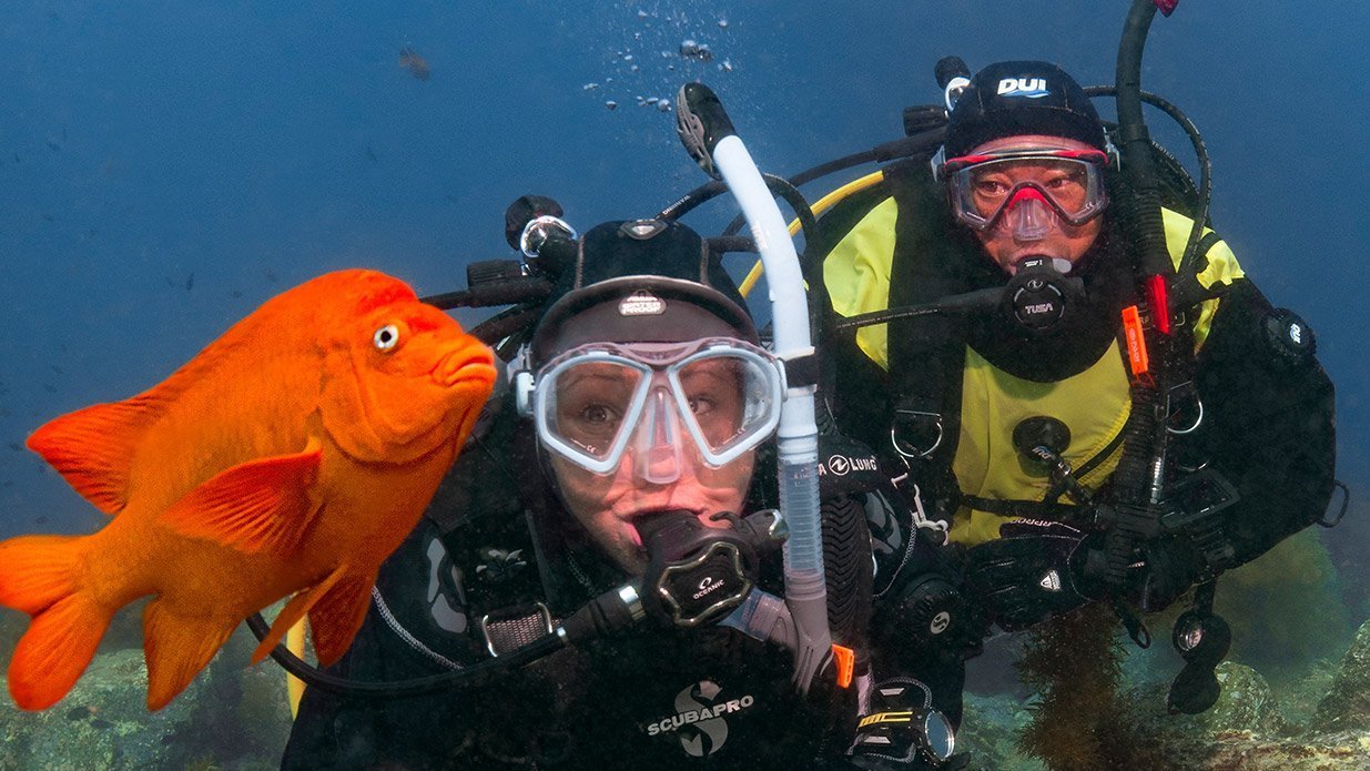 4 Tips For The Once A Year Scuba Diver 