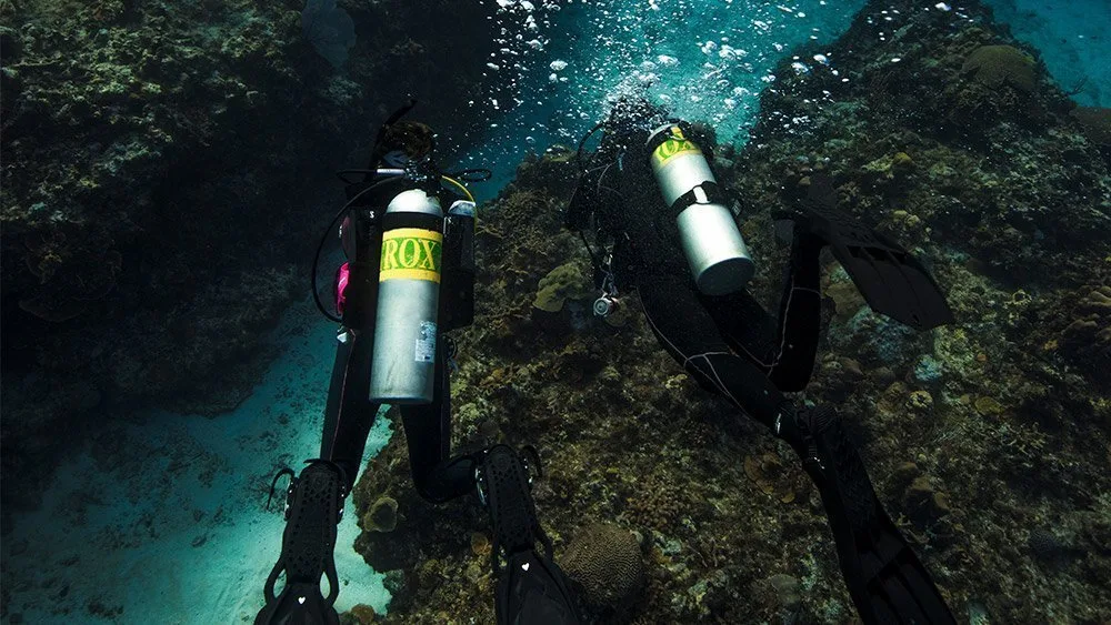 Underwater divers with nitrox tanks