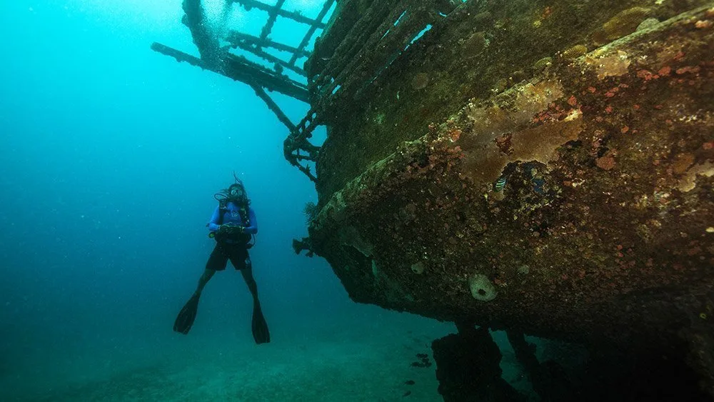 Diver next to a ship wreck