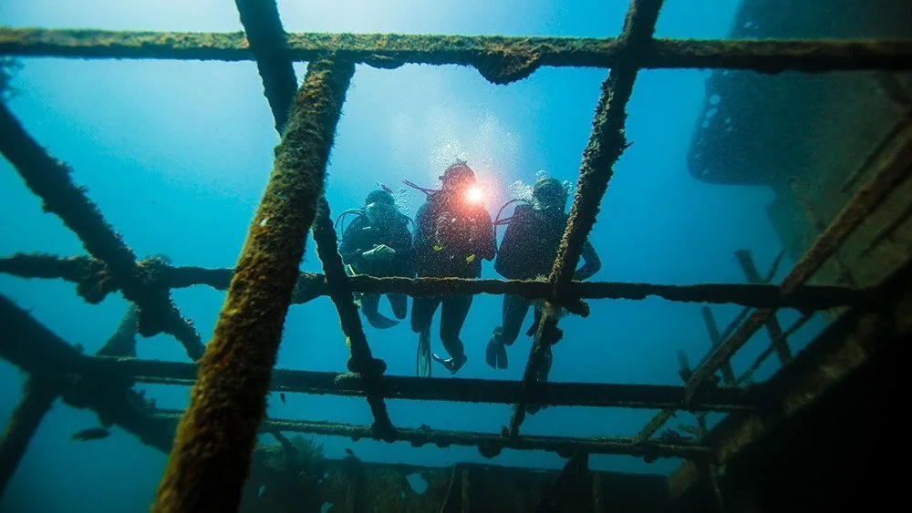 Divers exploring a wreck