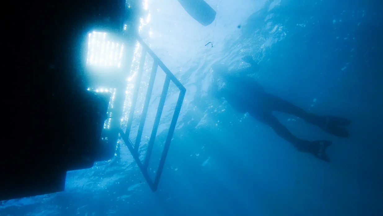 Diver getting out of the water from a boat ladder