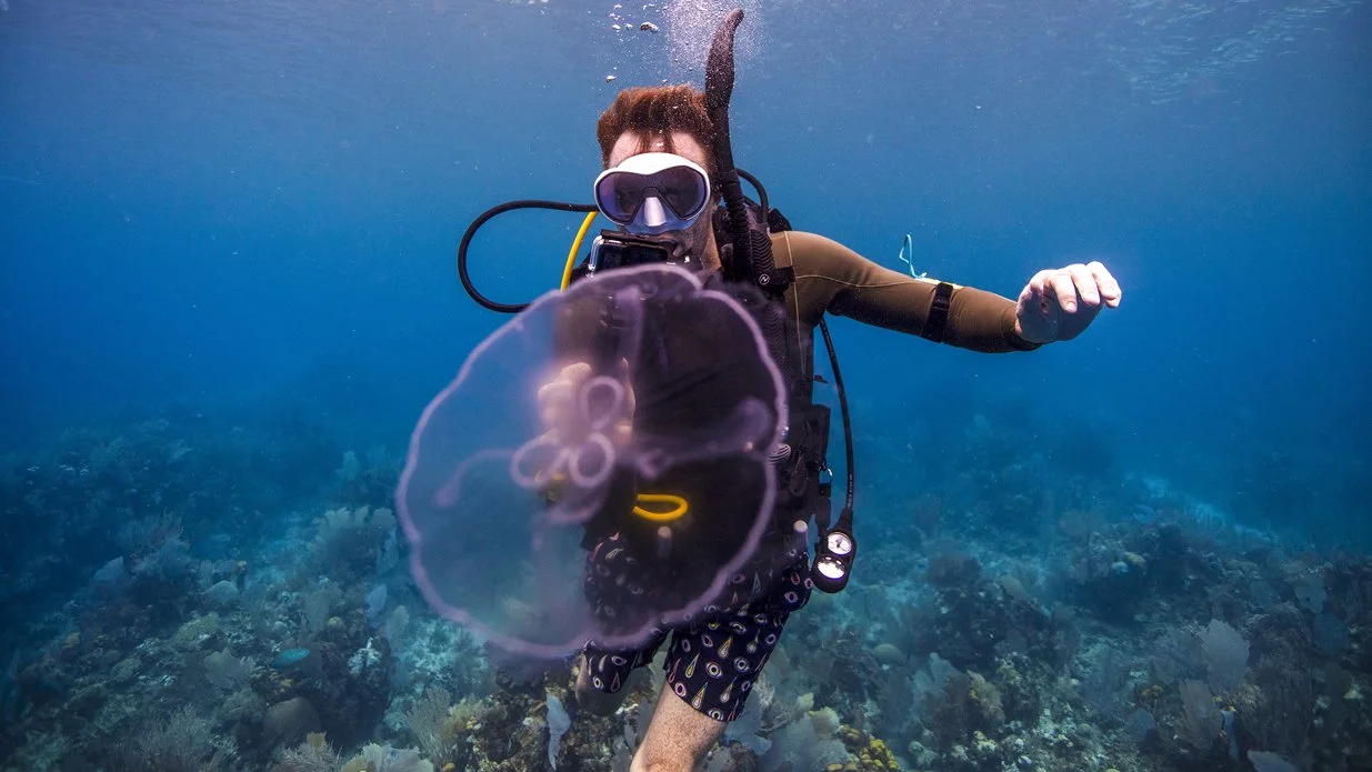 Diver taking a photo of a jellyfish