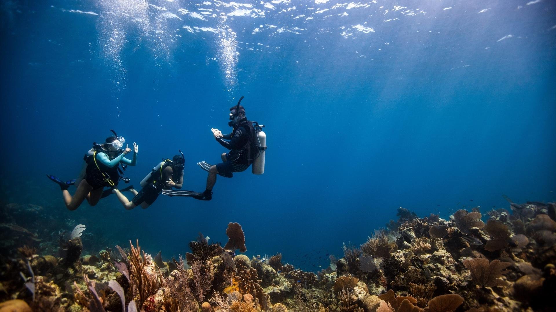 PADI Discover Scuba Diving Course: February — Rowand's Reef Scuba Shop