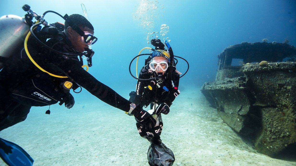 Learn to keep the ocean healthy in Dive Against Debris