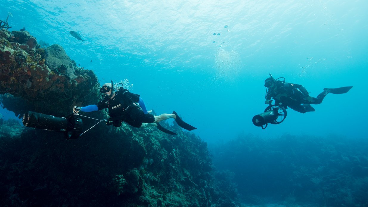 Learn to dive deep into the ocean with this PADI course