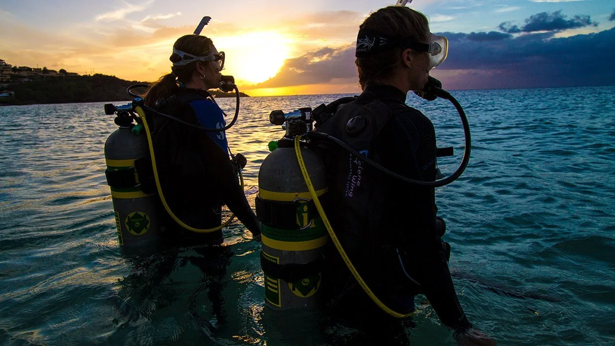Divers walking into the water