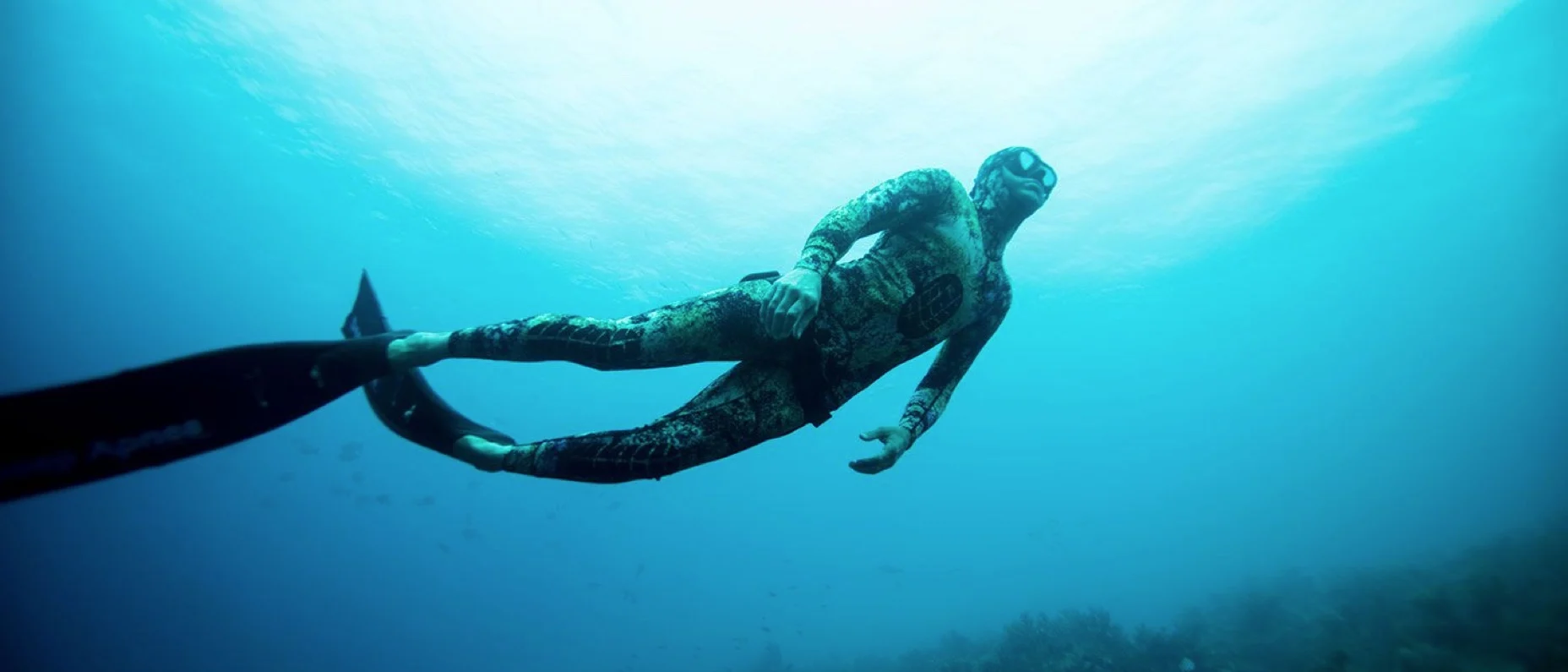 Master Freediver Instructor