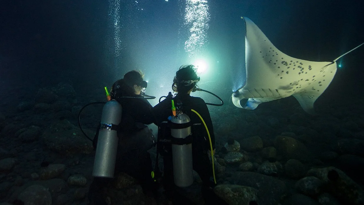 Two divers doing a night dive with a manta