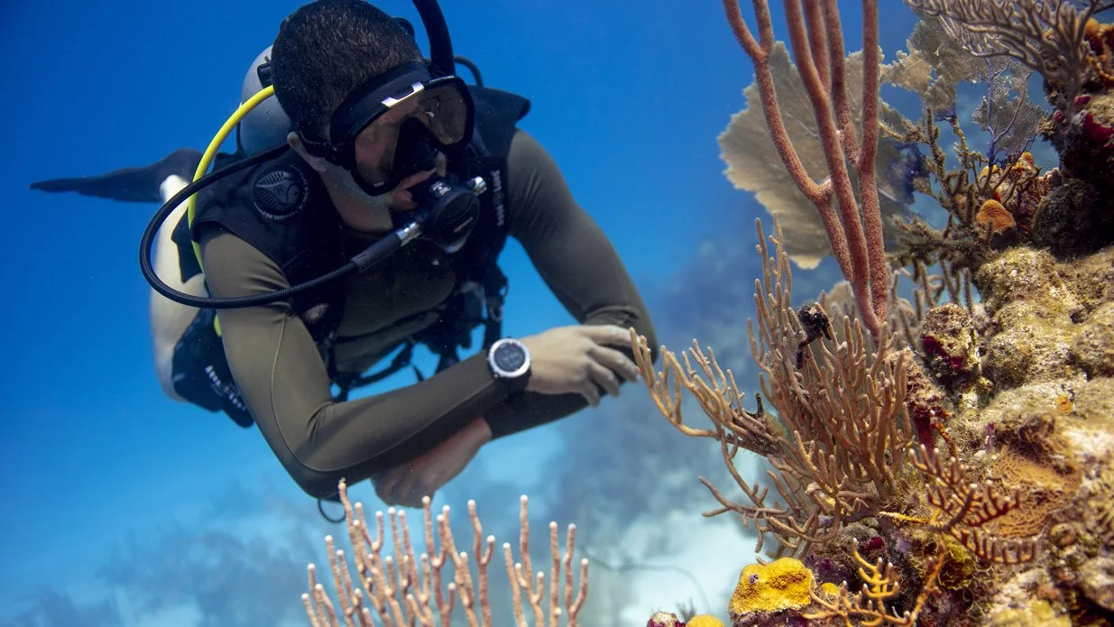 Diver exploring a coral