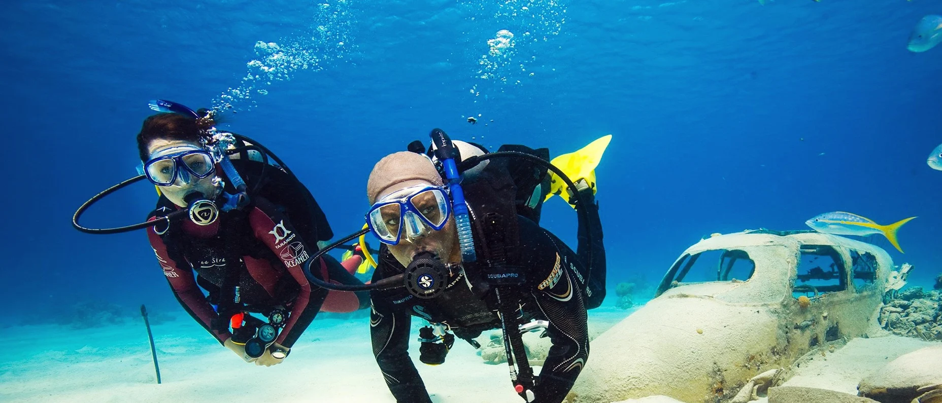divers diving next to a plane wreck