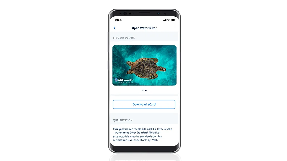PADI Aware Sea Turtle Legend by Stan Moniz eCard with Donation