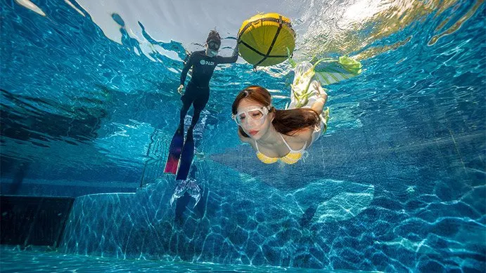 Basic Mermaid