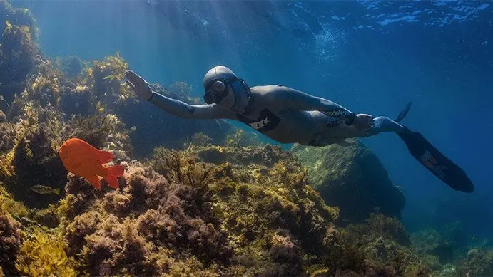 Basic Freediver